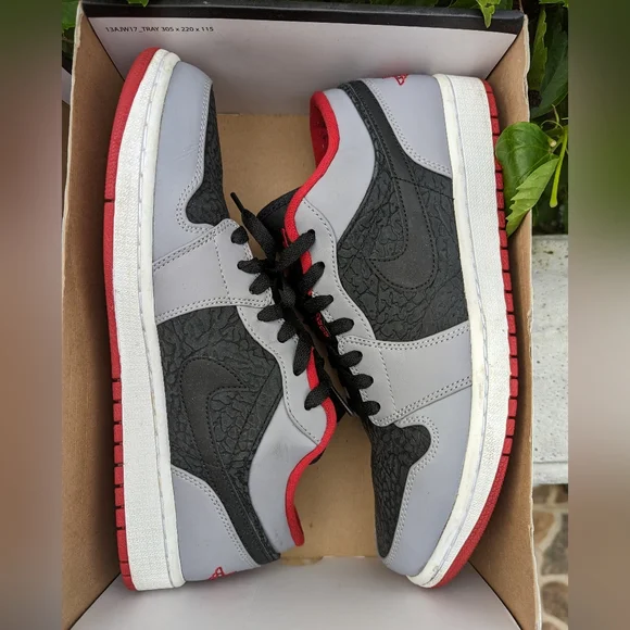 Nike Air Jordan 1s